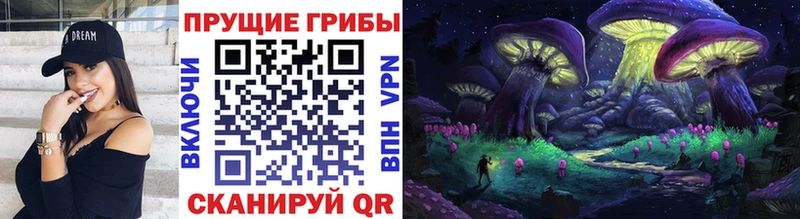 Купить  Новоульяновск  Галлюциногенные грибы Cubensis 