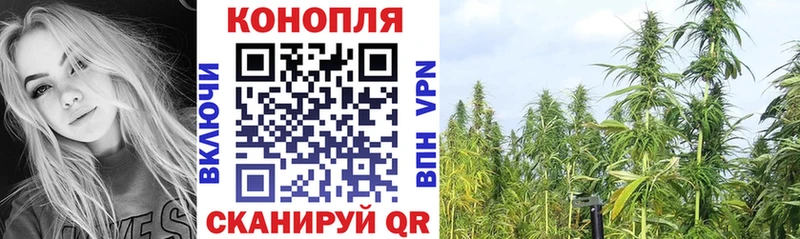 Бошки Шишки MAZAR  Купить закладки  Новоульяновск 